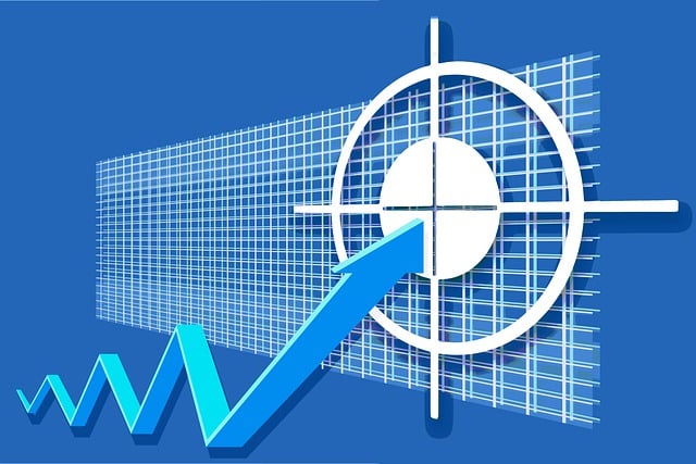 Organisational Performance